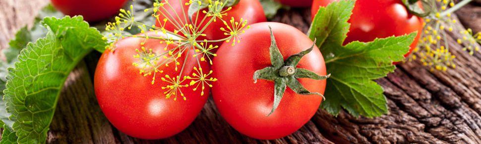 Likopen Lycopene